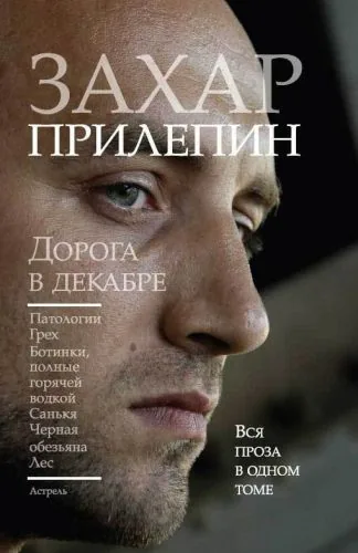 Обложка книги Дорога в декабре (сборник)