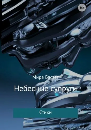 Обложка книги Небесные супруги