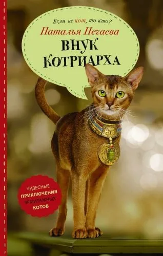 Обложка книги Внук котриарха