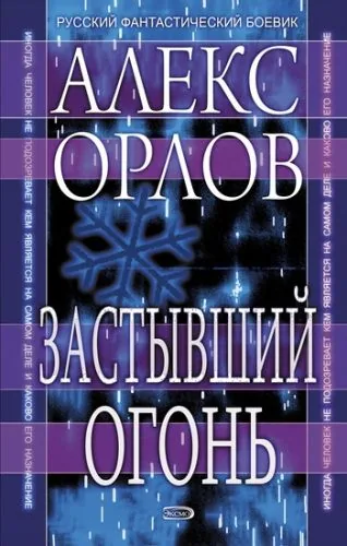 Обложка книги Застывший огонь