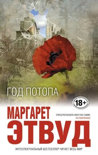 Обложка книги Год потопа