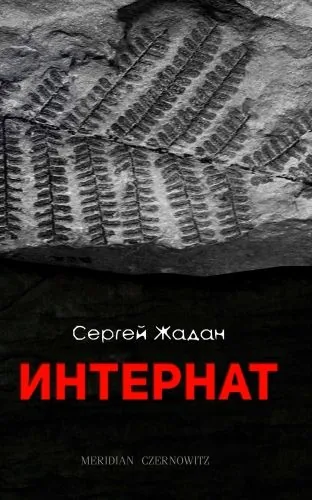 Обложка книги Интернат
