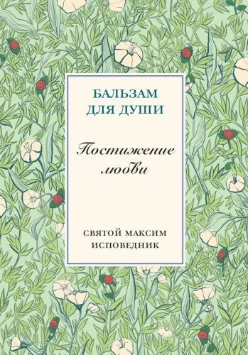 Обложка книги Постижение любви