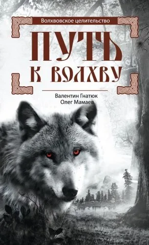 Обложка книги Путь к волхву