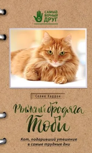 Обложка книги Рыжий бродяга Тоби. Кот, подаривший утешение в самые трудные дни