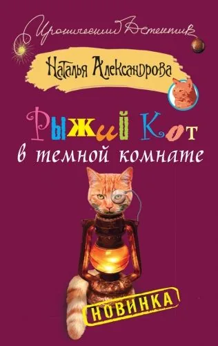 Обложка книги Рыжий кот в темной комнате