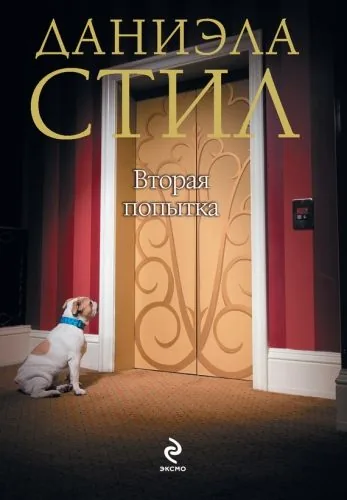 Обложка книги Вторая попытка