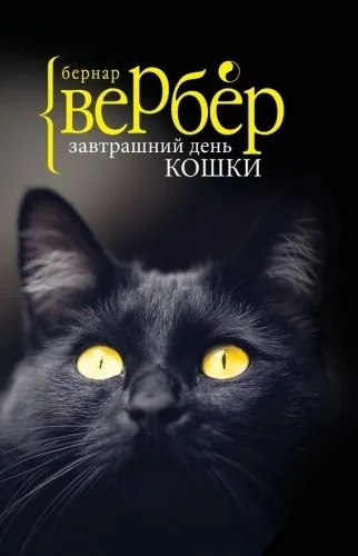 Обложка книги Завтрашний день кошки