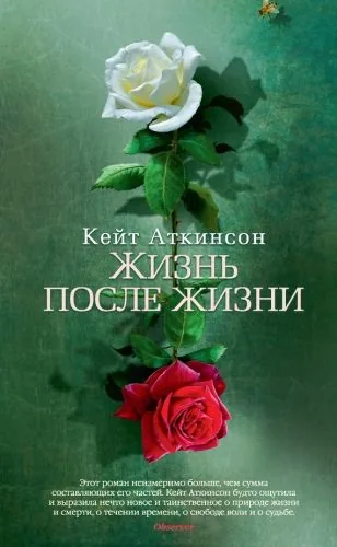 Обложка книги Жизнь после жизни
