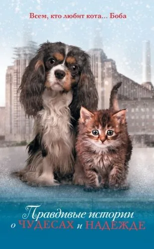 Обложка книги Правдивые истории о чудесах и надежде