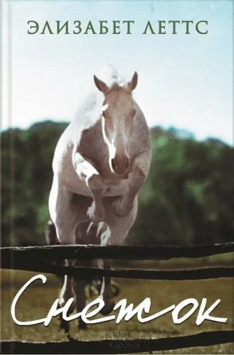 Обложка книги Снежок