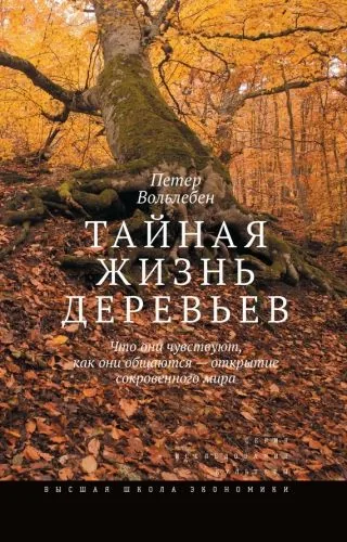 Обложка книги Тайная жизнь деревьев. Что они чувствуют, как они общаются – открытие сокровенного мира