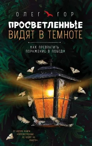 Обложка книги Просветленные видят в темноте. Как превратить поражение в победу