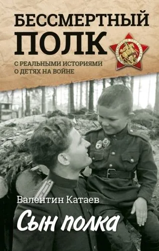 Обложка книги Сын полка. Реальные истории о детях на войне (сборник)