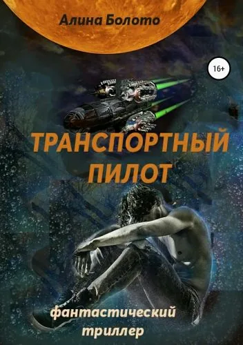 Обложка книги Транспортный пилот