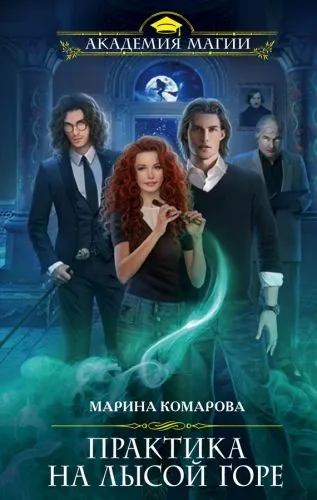 Обложка книги Практика на Лысой горе