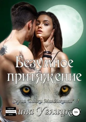 Обложка книги Безумное притяжение