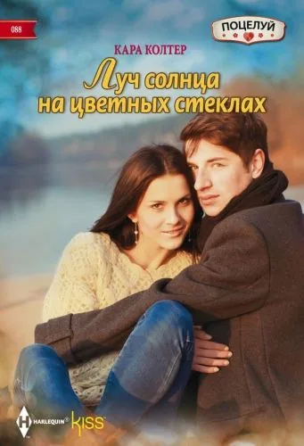 Обложка книги Луч солнца на цветных стеклах