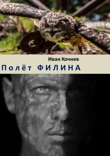 Обложка книги Полёт Филина