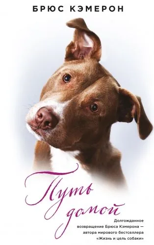 Обложка книги Путь домой