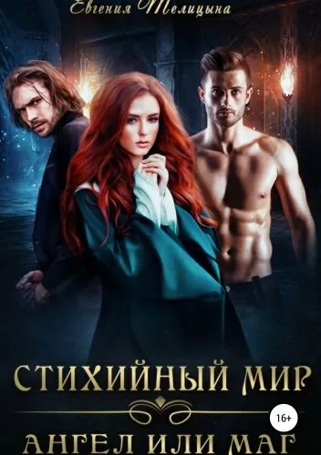 Обложка книги Стихийный мир: ангел или маг