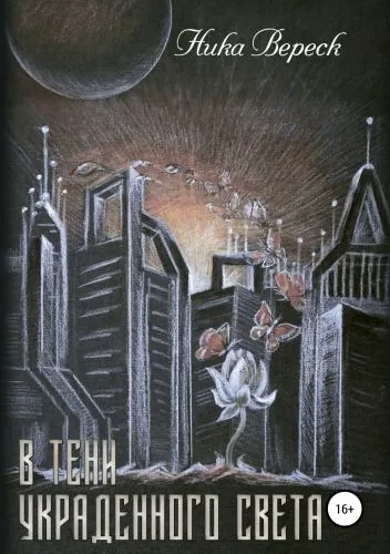 Обложка книги В тени украденного света