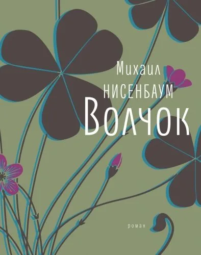 Обложка книги Волчок