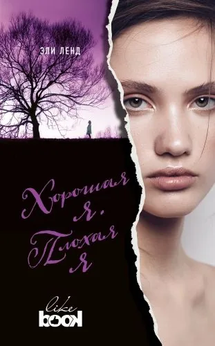 Обложка книги Хорошая я. Плохая я