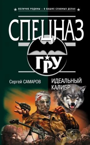 Обложка книги Идеальный калибр