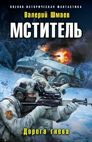 Обложка книги Мститель. Дорога гнева