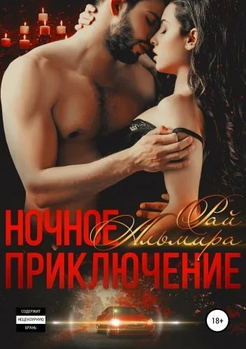 Обложка книги Ночное приключение