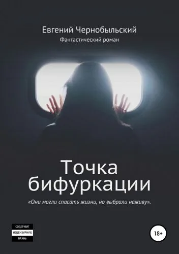 Обложка книги Точка бифуркации