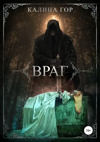 Обложка книги Враг