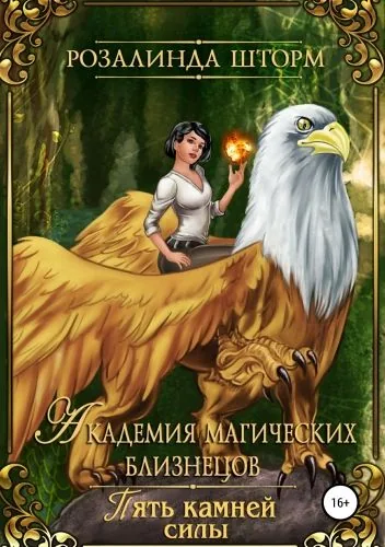 Обложка книги Академия магических близнецов. Пять камней силы