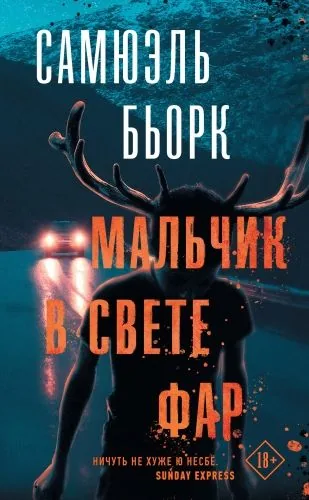 Обложка книги Мальчик в свете фар