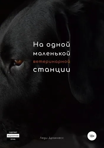 Обложка книги На одной маленькой ветеринарной станции