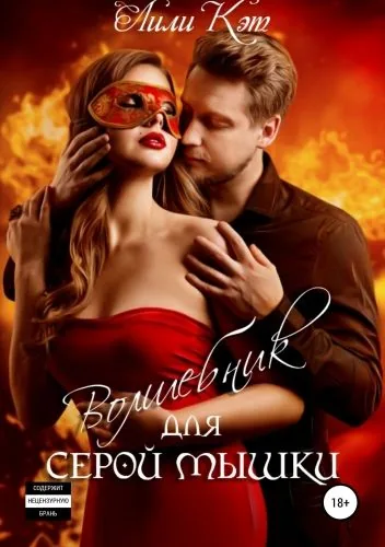 Обложка книги Волшебник для серой мышки