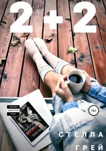 Обложка книги 2+2