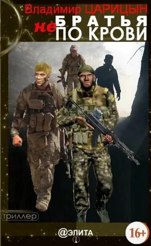 Обложка книги Братья не по крови