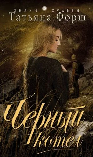 Обложка книги Черный котел