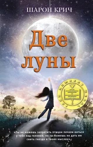 Обложка книги Две луны