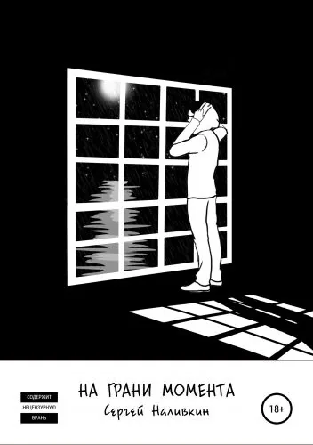 Обложка книги На грани момента