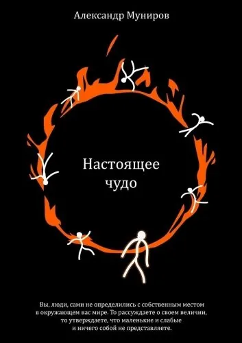 Обложка книги Настоящее чудо