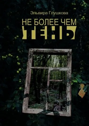 Обложка книги Не более чем тень