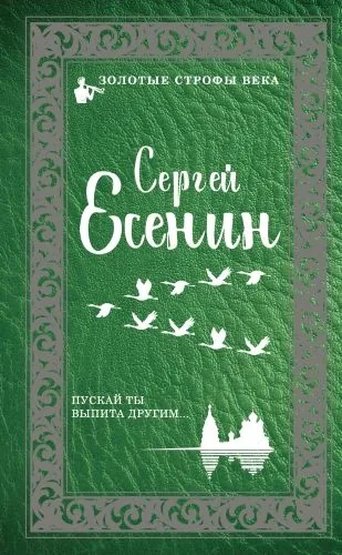 Обложка книги Пускай ты выпита другим…