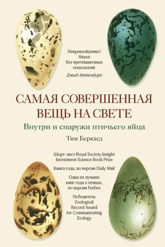 Обложка книги Самая совершенная вещь на свете