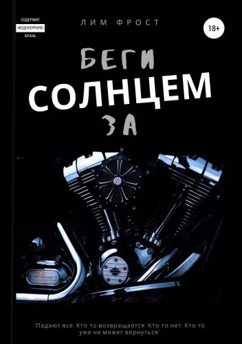 Обложка книги Беги за солнцем