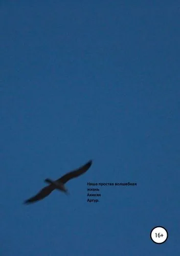 Обложка книги Наша простая волшебная жизнь