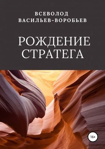 Обложка книги Рождение стратега