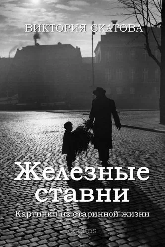 Обложка книги Железные ставни. Картинки из старинной жизни